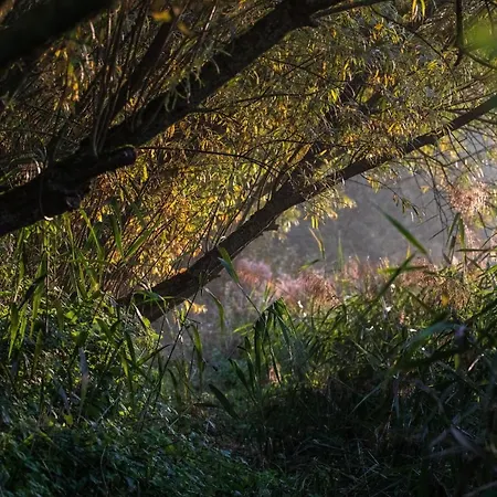 Luxussátor La Bulle - Nids Des Marais Ciney