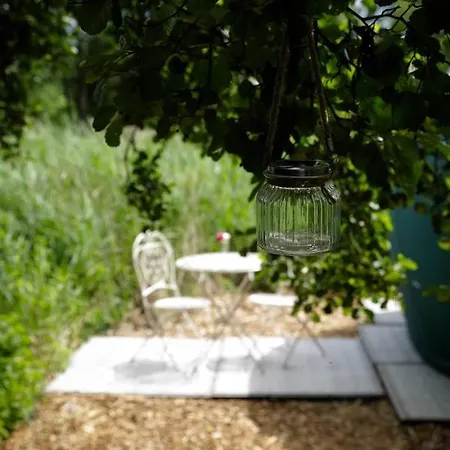 La Bulle - Nids Des Marais *