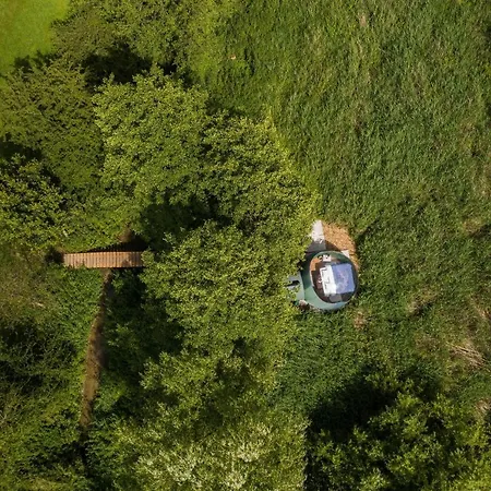 La Bulle - Nids Des Marais *